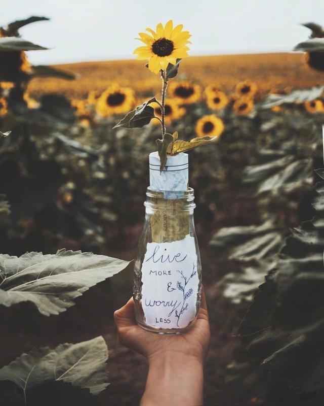 心累想哭好无助的说说句子,心累想哭的伤感句子,锥心刺骨,令人心碎