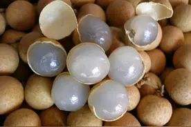 吃完桂圆，核不要扔，主任医师教你用桂圆核，敛疮生肌不留疤痕图片