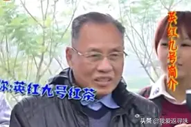 英红九号红茶非常出名，不少人好奇它的名字，真的是有不同编号吗视频封面