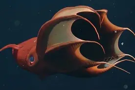 9种诡异的生物，每个生物都是真实存在的图片