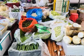 玩转西山 | 抓住春天的尾巴，我们一起勇闯“野菜江湖”！图片
