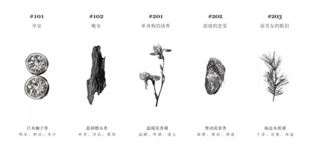 栀子花身体乳体香