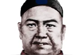 《一代枭雄》何辅堂的历史原型，建国后为何被枪毙？图片