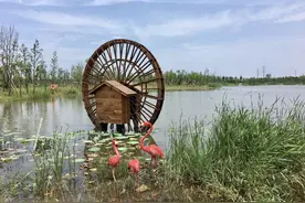 台州新晋网红打卡地——台州湾湿地公园图片