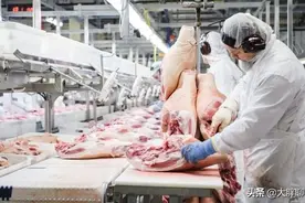 瑞典肉联厂剔骨工作签证详解图片