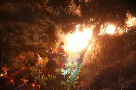 昼夜奋战！武警官兵全力扑救青岛、烟台山火图片