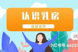 全面了解乳房图片