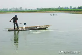 被撒化肥的黑坑怎么钓鱼？肥水黑坑怎么钓鱼？一招应对肥水黑坑图片