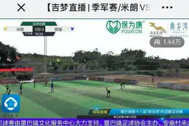 中国足球又一闹剧！野球场现100-3比分，1.4万人观战足协发声明图片