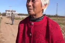 河北老人“偷菜团”:她们偷走的是白菜，丢失的却是良知和尊严图片