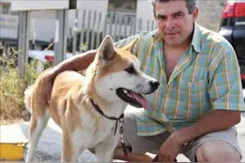 一只“旺家狗”有5大特征，网友：这样的狗子给我来一打图片