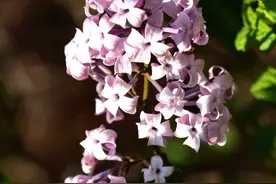 三中同学聚会发言稿图片