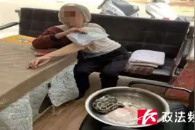 天降乌龟砸伤老人！家属：乌龟主人不现身将起诉三楼以上业主及物业图片