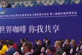 世界咖啡汇聚青田 你我共享“青咖”文化 | 农博会同步举办 农产品走出国门 |“西餐师傅”大师培训 享受美味要专业图片