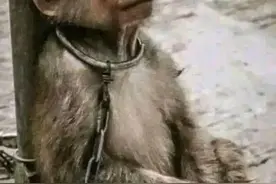 不要让自己活在痛苦之中图片