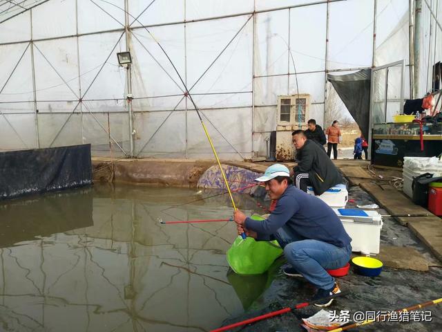 正确的锚鱼方法，黑坑高手秘而不宣的反黑术