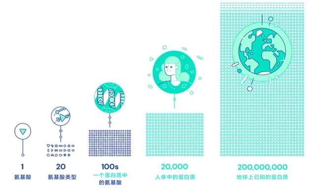 生物学的一个基本大问题迎来重大突破