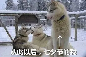 “以爱的名义”为所欲为？盘点谈恋爱时涉嫌违法的那些行为…图片