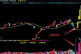 揭秘庄家控盘底部启动上涨手法图片