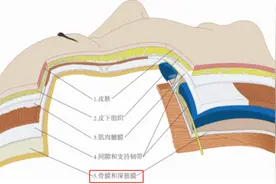 颧弓颧骨手术真的会损伤面部神经吗？图片