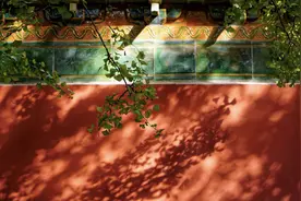 南京有条600米的路，每到11月，就让南京变成了金陵图片