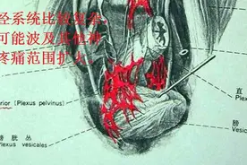 男性阴茎痛怎么治疗图片