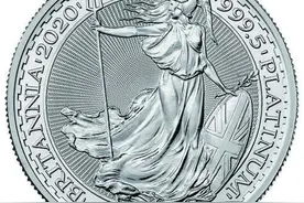 世界铂金投资协会图片