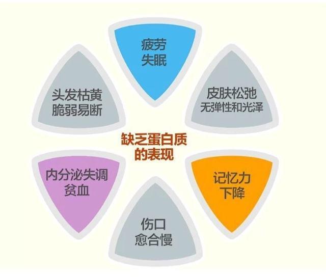 蛋白质大学问，天天都在谈的蛋白质，今天就来认识下