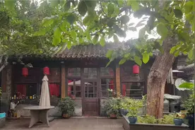 俗语：“院中有五树，子孙一直富”，说的是什么树？有啥寓意？图片