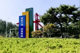 山东河南强镇之争：龙湖镇领先金山镇，河南仅1镇入围全国百强图片