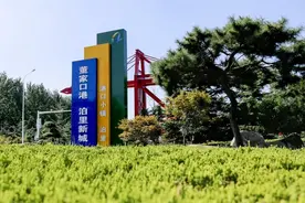 山东河南强镇之争：龙湖镇领先金山镇，河南仅1镇入围全国百强图片
