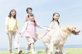 济南市推出养狗新规，每个狗主人有12分，分扣完了必须上学习班视频封面