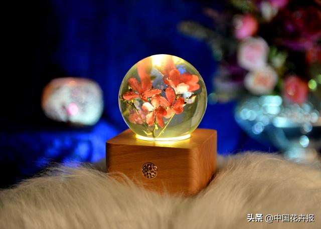 教师节到了！能送给老师的除了鲜花束，还有这几种花