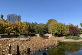 朝阳游园推荐：大望京公园图片