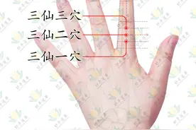 三仙穴-助你缓解湿疹、过敏性皮肤病等带来的痛苦图片