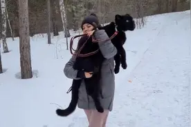 我的萌宠，是一只被妈妈抛弃的黑豹图片