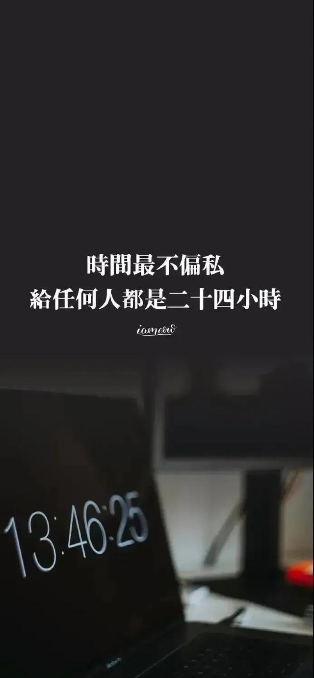 情感文字壁纸/下马敬红尘，来世不做人