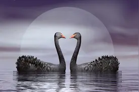 为了他我卑微到尘埃里，原以为是一场空欢喜他却为我和发小退了婚图片