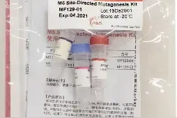 点突变，就是这么简单图片