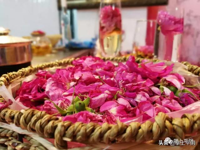 今天,平阴向全世界发出邀请!