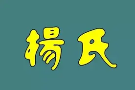 杨氏世系表，1-65世都有了图片