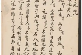 民国中医抄本全书200多页图片