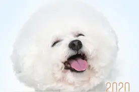 世界微笑日：你笑起来，真好看图片