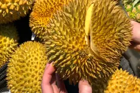 榴莲就要买“裂口”的，果店老板透露：掌握这3点，一挑一个准图片