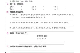 统编版语文四年级下册精编《课时练》图片