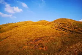 十一国庆武功山之旅图片