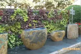 昆明街头首现“垒土”绿墙，节水、环保还美观图片