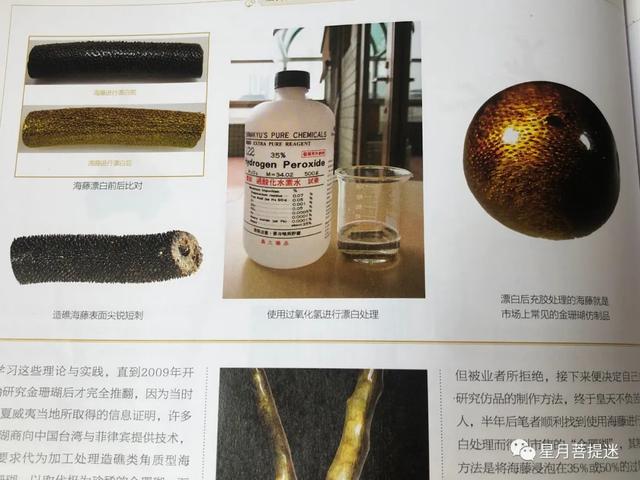 海柳优化（作假金丝柳的特征详谈）