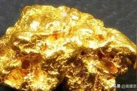 2015年，新疆牧民捡到一块巨大的狗头金，后来怎么样了？图片