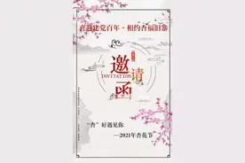 “杏”好遇见你——本周六，相约旧寨大洼杏花节！图片